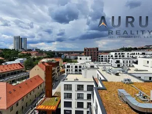 Pronájem bytu 4+kk, Praha - Nusle, Bělehradská, 130 m2