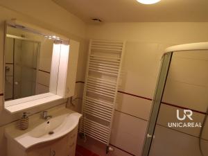 Pronájem bytu 1+1, Brno - Zábrdovice, Stará, 48 m2