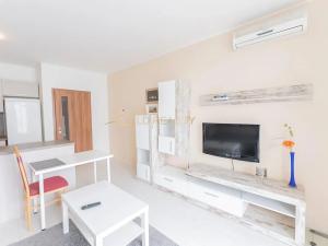 Pronájem bytu 1+kk, Olomouc, tř. Míru, 36 m2