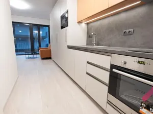 Pronájem bytu 1+kk, Praha - Žižkov, Hartigova, 34 m2