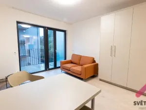 Pronájem bytu 1+kk, Praha - Žižkov, Hartigova, 34 m2