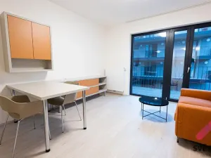 Pronájem bytu 1+kk, Praha - Žižkov, Hartigova, 34 m2