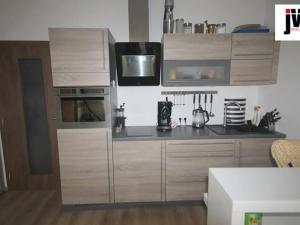 Pronájem bytu 1+kk, Plzeň, U Borských kasáren, 42 m2
