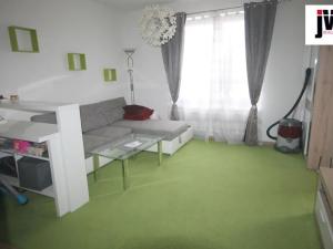 Pronájem bytu 1+kk, Plzeň, U Borských kasáren, 42 m2