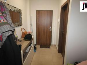 Pronájem bytu 1+kk, Plzeň, U Borských kasáren, 42 m2
