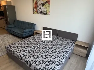 Pronájem bytu 1+kk, Olomouc, Aloise Rašína, 38 m2