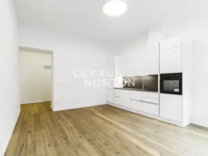 Pronájem bytu 2+kk, Praha - Vinohrady, Třebízského, 71 m2