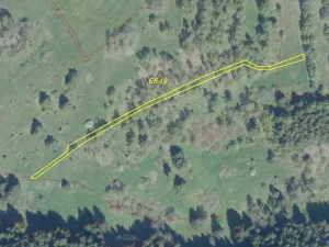 Dražba louky, Kraslice, 3869 m2