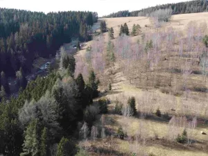 Dražba louky, Kraslice, 3869 m2