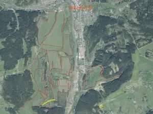 Dražba louky, Kraslice, 3869 m2