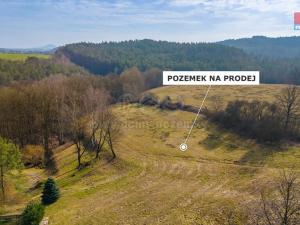 Prodej louky, Dubá - Heřmánky, 11289 m2
