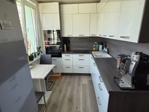 Prodej bytu 3+1, Cheb, Lesní, 60 m2