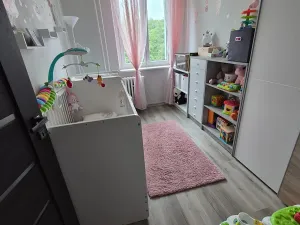 Prodej bytu 3+1, Cheb, Lesní, 60 m2