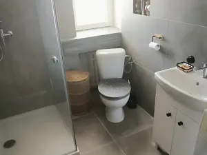 Prodej bytu 1+kk, Ostrava, Ruská, 36 m2