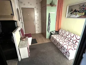 Prodej bytu 2+1, Ostrov, Kollárova, 60 m2