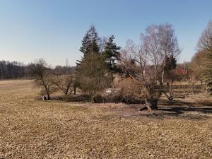 Prodej pozemku pro bydlení, Lanžov, 6308 m2