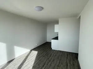 Pronájem bytu 2+kk, Litvínov, Kopistská, 40 m2