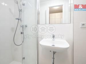 Pronájem bytu 1+kk, Praha, Čenětická, 22 m2