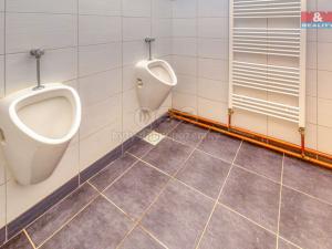 Pronájem obchodního prostoru, Plzeň - Východní Předměstí, Francouzská třída, 470 m2