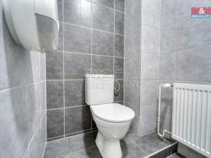 Pronájem obchodního prostoru, Plzeň - Bolevec, Sokolovská, 310 m2