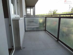 Pronájem bytu 1+1, Brno, Kneslova, 43 m2