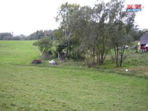 Prodej louky, Janův Důl, 2494 m2
