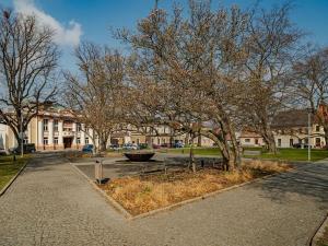 Prodej rodinného domu, Vysoké Mýto, Vrchlického, 181 m2