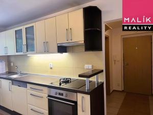 Prodej bytu 2+1, Ostrov, Šafaříkova, 55 m2