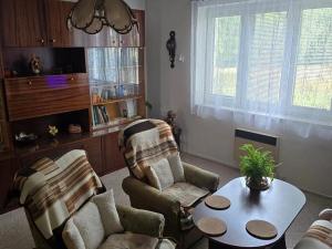Prodej rodinného domu, Chotoviny, Kaštanová, 145 m2