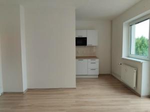 Pronájem bytu 1+kk, Plzeň, Moravská, 38 m2