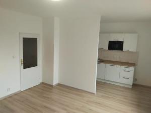 Pronájem bytu 1+kk, Plzeň, Moravská, 38 m2