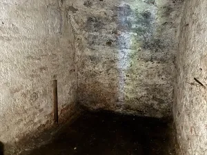Prodej vícegeneračního domu, Suchdol nad Lužnicí, 420 m2