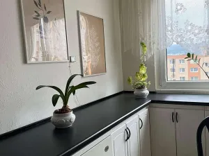 Prodej bytu 4+1, Liberec, Halasova, 94 m2
