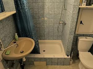 Pronájem bytu 1+kk, Cheb, Palackého, 34 m2