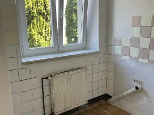 Prodej rodinného domu, Jistebník, 550 m2