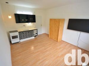 Pronájem bytu 1+kk, Kraslice, Družstevní, 20 m2