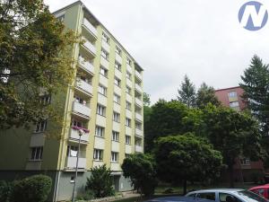 Pronájem bytu 1+1, Písek, Dr. M. Horákové, 36 m2