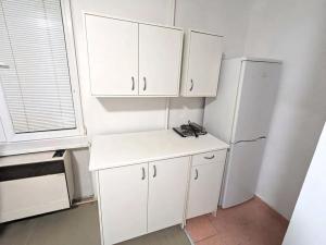 Pronájem bytu 1+kk, Duchcov, Jungmannova, 21 m2