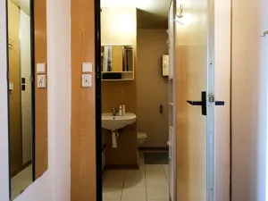Prodej bytu 2+1, Frýdek-Místek, Novodvorská, 42 m2