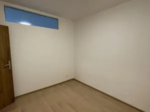 Pronájem bytu 3+kk, Troskotovice, 65 m2
