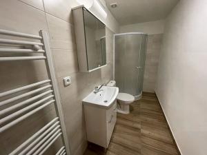 Pronájem bytu 3+kk, Troskotovice, 65 m2