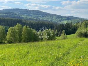 Prodej pozemku pro bydlení, Malšín, 113244 m2