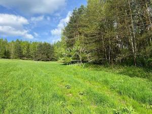 Prodej pozemku pro bydlení, Malšín, 113244 m2