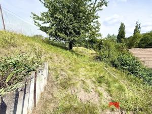 Prodej rodinného domu, Chorušice, 50 m2