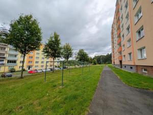 Pronájem bytu 1+kk, Sokolov, Mánesova, 19 m2