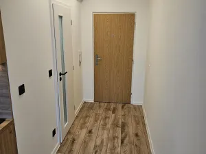 Pronájem bytu 1+1, Litvínov, U Zámeckého parku, 35 m2