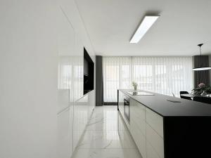 Pronájem bytu 3+kk, Praha - Karlín, Křižíkova, 131 m2