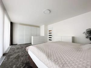 Pronájem bytu 3+kk, Praha - Karlín, Křižíkova, 131 m2