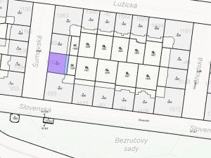 Dražba bytu 2+1, Praha - Vinohrady, Šumavská, 61 m2