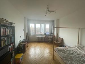 Pronájem bytu 1+kk, Praha, Ondříčkova, 31 m2